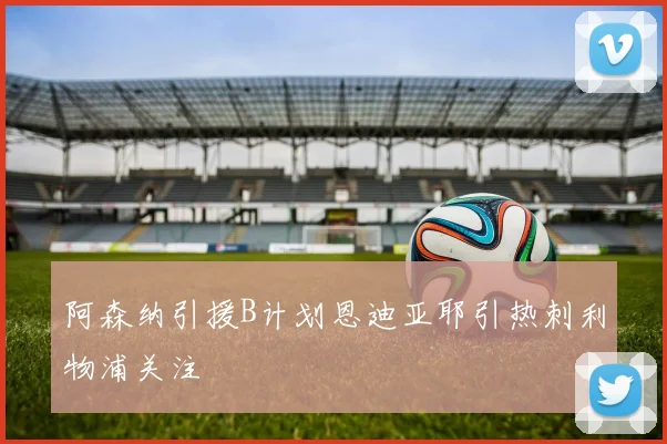 阿森纳引援B计划恩迪亚耶引热刺利物浦关注